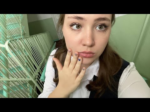 Видео: АСМР школьные лестницы/аффирмации на хорошую учёбу и сдачу егэ/немножко настольгии/таппинг