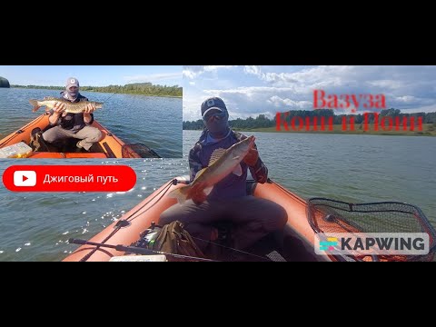 Видео: «Одна лодка — две судьбы: у него щука 2,7 кг, а у меня философский кризис»