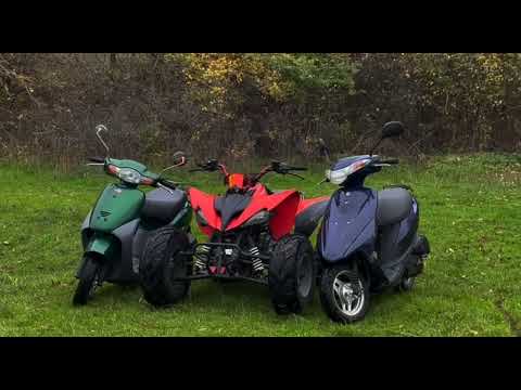 Видео: 6 ноября 2025 г.