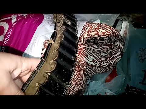 Видео: 251.📌📌📌🧐Поедем поглядим📌📌📌