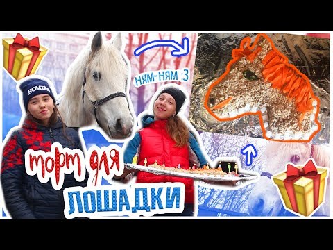 Видео: 🐎DIY: ТОРТ ДЛЯ ЛОШАДИ на ДЕНЬ РОЖДЕНИЯ / рецепт #MTkonoBLOG