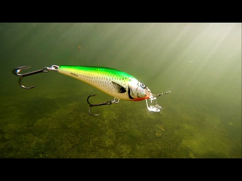 Видео: How to use & film underwater Salmo fishing lures for pike, muskie, bass. Воблеры для щуки и окуня