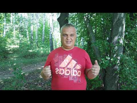 Видео: Развод с женой. РСП загнала мужа в гроб!