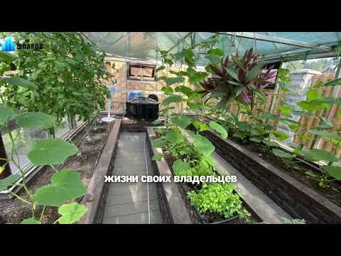 Видео: ВСЯ ПРАВДА: Правда о зимних садах и оранжереях спустя годы эксплуатации