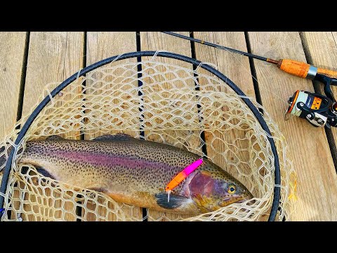 Видео: ФОРЕЛЬ выбирает ЭТОТ ВОБЛЕР Рыбалка на спиннинг Ловля форели весной