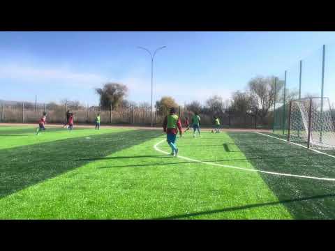 Видео: 3 ноября 2025 г.