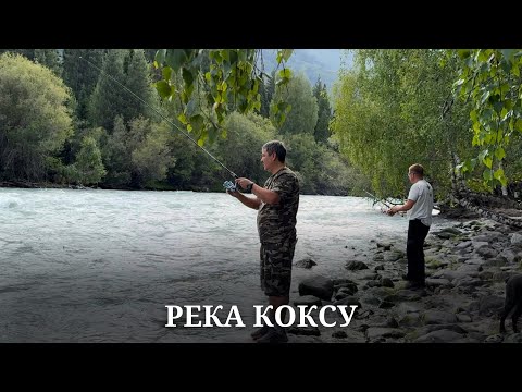 Видео: РЕКА КОКСУ 03.08.2024