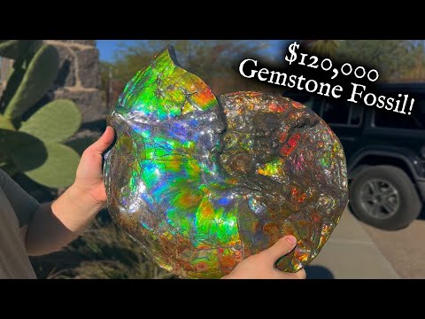 Видео: В Гранаде найден драгоценный камень стоимостью 120 000 долларов!