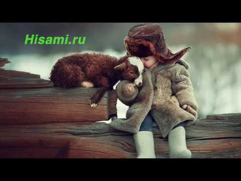 Видео: 4  Күп кирәкми миңа…
