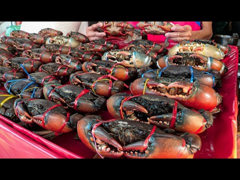 Видео: Полно Золотой Икры Крабов!! Премиум Паровая ЛАПША ИЗ КРАБОВ-САМОК и Крабовый Рамен