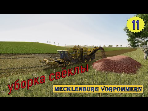 Видео: FS25 Mecklenburg Vorpommern  Осенние работы. Свекла . Стрим #11