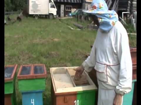 Видео: Универсальный улей Кузнецова 3