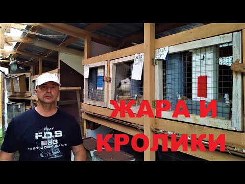 Видео: МОИМ КРОЛИКАМ НЕ ЖАРКО (( ДВЕ ПОДСКАЗКИ ПОЧЕМУ))  содержание и разведение кроликов