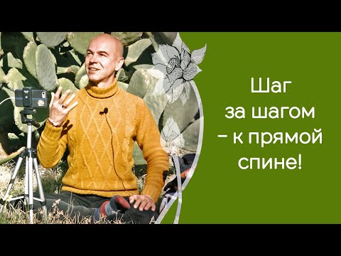 Видео: Возможно ли убрать сутулость за один месяц