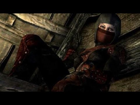 Видео: ТЁМНОЕ БРАТСТВО - Skyrim #112