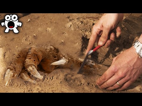 Видео: 10 Страшных Археологических Находок