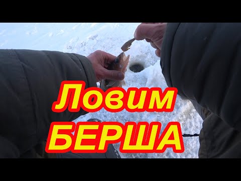 Видео: Ловим БЕРША на тюльку. Горьковское водохранилище, река Волга. Рыбалка два дня.