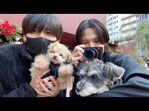 Видео: Расслабляющий отдых с красивым другом и собаками [Той-Пудель]