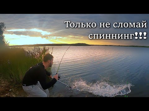 Видео: ЭТУ ПОКЛЕВКУ Я ЖДАЛ ВСЮ ЖИЗНЬ! На рыбалку с женой летом | Быт и еда на костре