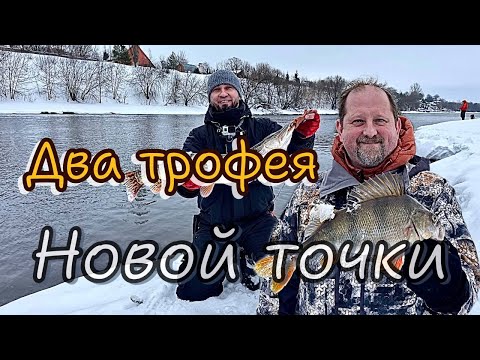 Видео: Зимний спиннинг. Щука, Окунь на спиннинг. Москва река. Два  трофея на новой точке за одну рыбалку.