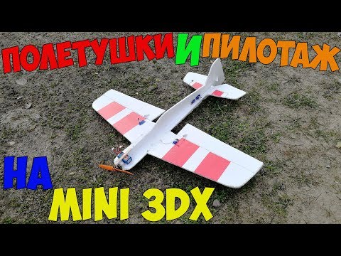 Видео: Полетушки и пилотаж на Mini 3DX. Самодельные авиамодели.