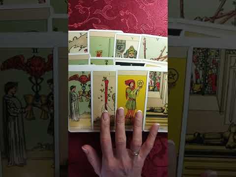 Видео: 😉👭ЛИЧНАЯ ЖИЗНЬ МОЕЙ ПОДРУГИ гадание💥Судьба моей подруги .ТАРО ОНЛАЙН