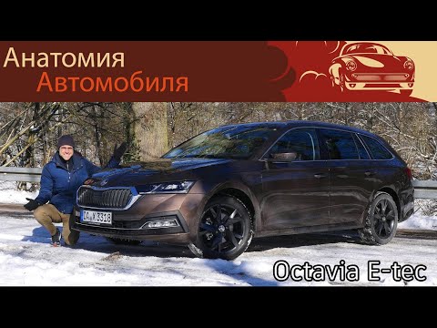 Видео: Обзор Skoda Octavia e-TEC 2021