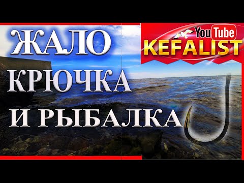 Видео: Когда и почему нужно прятать жало крючка - рыбалка на кефаль.