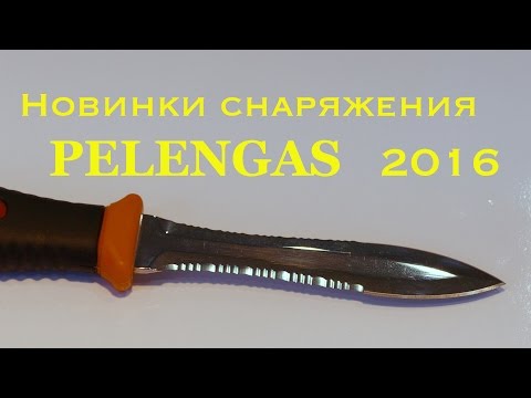 Видео: Подводная охота в Санкт-Петербурге