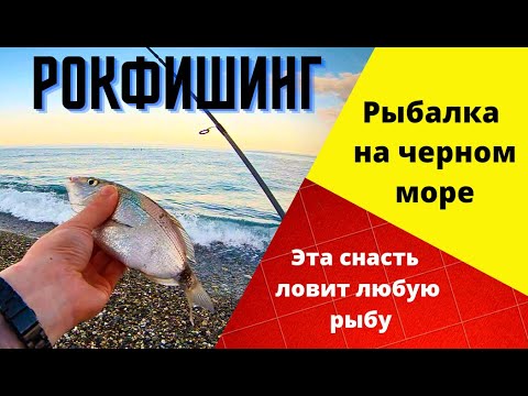 Видео: Как ловить на черном море? ЭТА СНАСТЬ ЛОВИТ ЛЮБУЮ РЫБУ! Спиннинг для начинающих. Морская рыбалка.