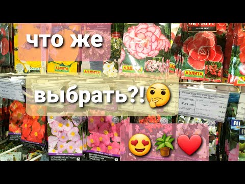Видео: СЕМЕНА КОМНАТНЫХ ЦВЕТОВ🪴🌿🌷магазин ХИТ СЕЗОНА🌵