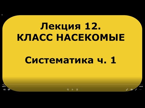 Видео: Зоология беспозвоночных. Лекция 12. Класс насекомые. Систематика насекомых ч. 1