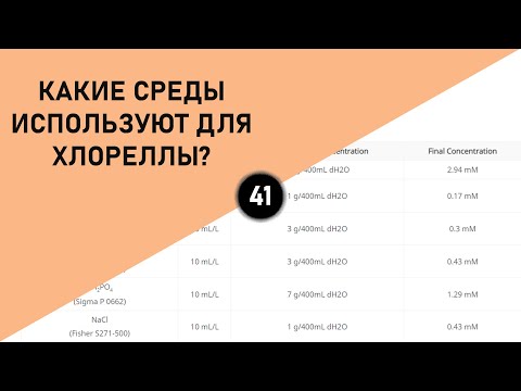 Видео: КАКИЕ СРЕДЫ ИСПОЛЬЗУЮТ ДЛЯ ХЛОРЕЛЛЫ?