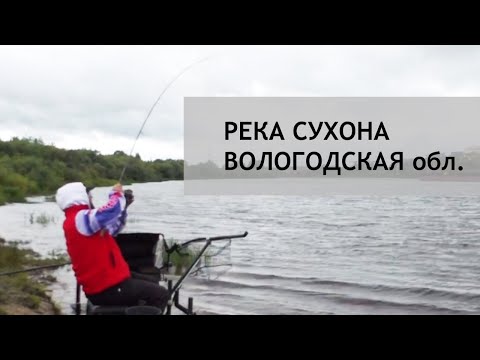 Видео: Рыбалка на реке Сухона. Вологодская обл.