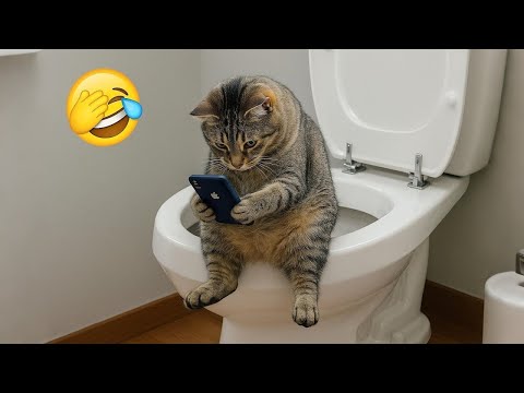 Видео: Новые самые смешные клипы с кошками и собаками 2025 года😼🐶Попробуйте не смеяться😜 Часть 1