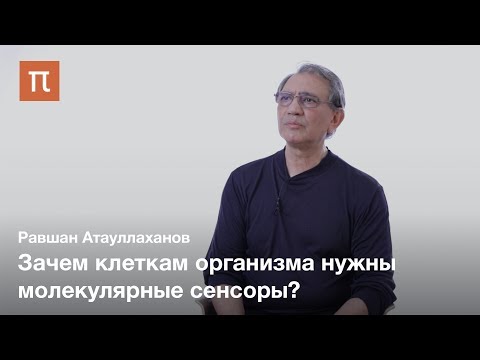 Видео: Теория тотального иммунитета — Равшан Атауллаханов