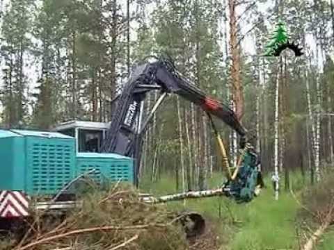 Видео: Валочно пакетирующая машина ЛП-19 Б2 с харвестерной головкой МЛ-145