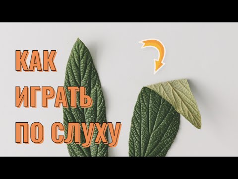 Видео: Как играть по слуху на скрипке