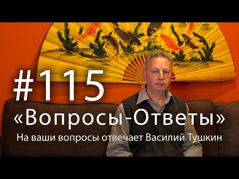 Видео: "Вопросы-Ответы", Выпуск #115 - Василий Тушкин отвечает на ваши вопросы