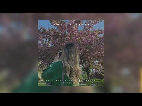 Видео: Mr Lambo, Xcho — Все будет хорошо | slowed + reverb |