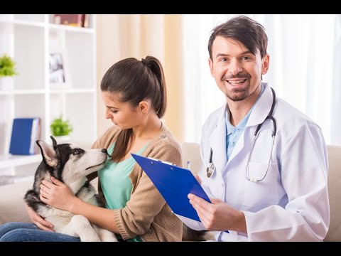 Видео: О чем не нужно спрашивать ветеринарного врача?