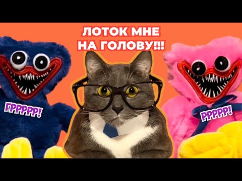 Видео: ЕСЛИ БЫ КОТИКИ ХОДИЛИ В ШКОЛУ - КИССИ МИССИ И ХАГГИ ВАГГИ, УЧИТЕЛЬСКАЯ