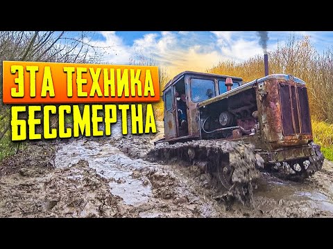 Видео: Этот старый трактор Удивил!!! Испытания в болоте Т-74.