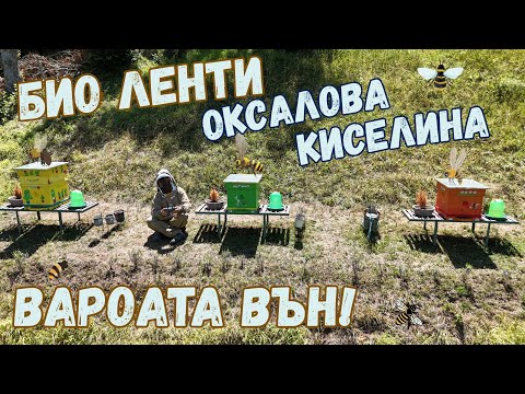 Видео: ВРЕМЕ ЗА ТРЕТИРАНЕ – Вароата няма шанс!