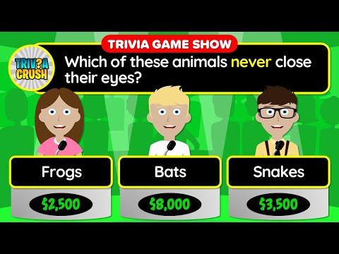 Видео: 😃👉 ТЕСТ НА ОБЩИЕ ЗНАНИЯ! — 40 вопросов в уникальном формате игрового шоу | 24-014