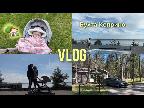 Видео: VLOG: загородный отдых с ребёнком // Парк-отель Бухта Коприно