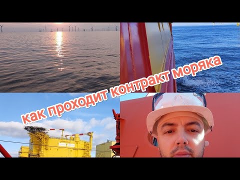 Видео: Как проходит контракт моряка/Обзор судна / Работа судового повара