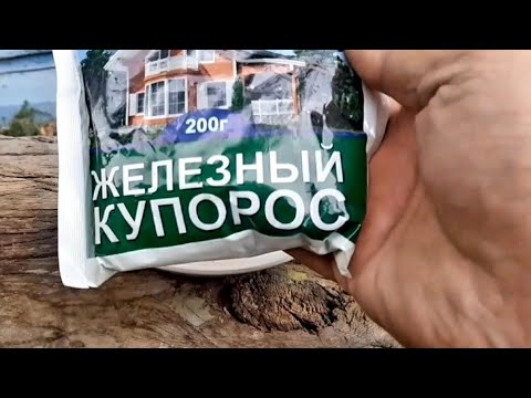 Видео: Темір купароспен алтын тундыру