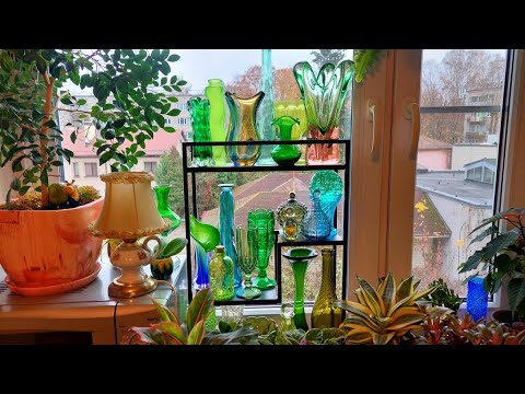 Видео: влог - поднимаю настроение - барахолка, новые цветы и старые картины и фотографии