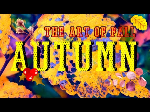 Видео: Магията НА ЕСЕНТА🍂THE ART OF FALL, Capturing the magic of Autumn🍁Scenic relaxation film & calm music